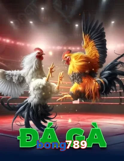 bong789